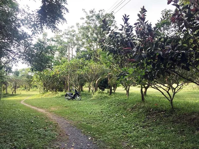 ที่โฉนด 16 ไร่ พร้อมบ้านหลังใหญ่ และเรือนเล็ก