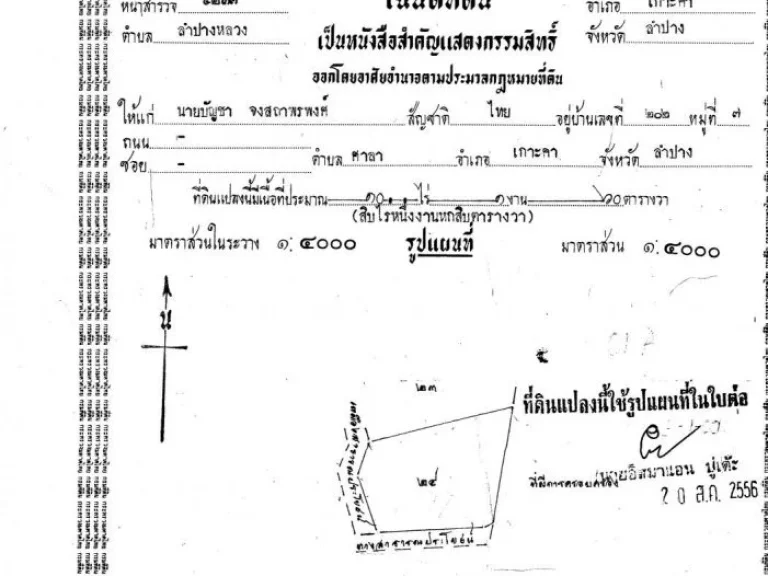 ขายที่ดิน 18 ไร่ 1 งานพร้อมต้นอินทผลัม 1000 ต้น