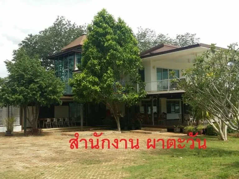 FOR SALE ที่ดินจัดสรรแปลงสวย 260 ตารางวา โครงการผาตะวัน ปากช่อง เขาใหญ่ ฝั่ง อปากช่อง จนครราชสีมา แหล่งโอโซนที่ดีที่สุดที่ใกล้กรุงเทพ