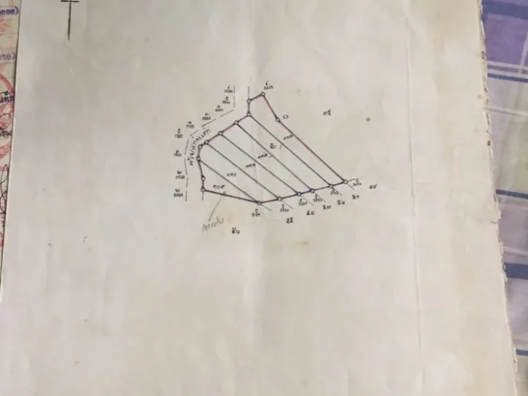 ที่ดินเปล่า 3แปลงรวม 10ไร่3งาน66ตรว 25ล้าน