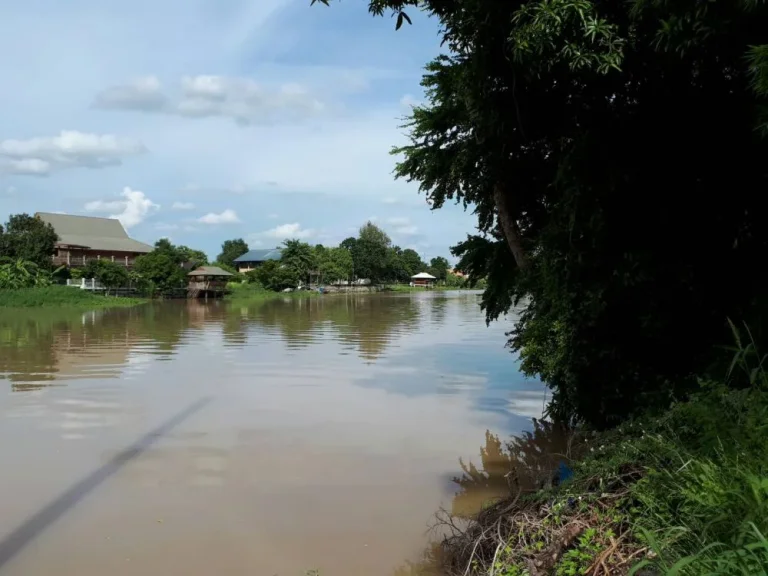 ขายที่ดินติดแม่น้ำท่าจีนพร้อมบ้านเนื้อที่ 3-3-11 ไร่