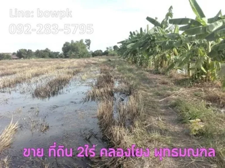 ที่ดินคลองโยง พุทธมณฑล 3ไร่ ติดถนน 2ด้าน ใกล้สนามกอล์ฟ รอยัลเจมส์ ศาลายา