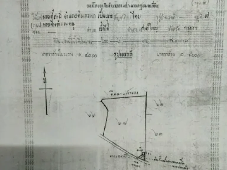 ขายที่ดิน เนื้อที่ 21 ไร่ 1 งาน 29 ตารางวา มีโฉนด อย3050