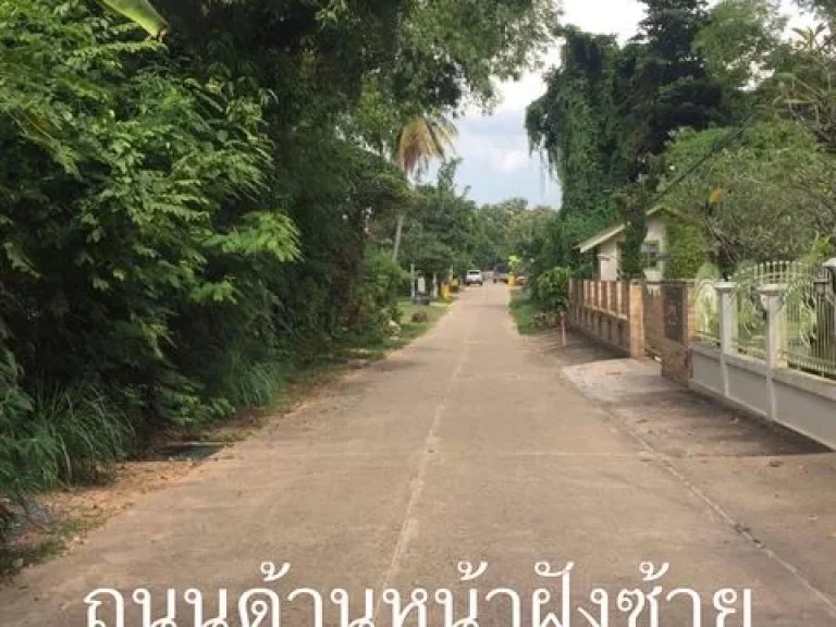 ที่ดินเปล่าพร้อมสร้างบ้าน 73 ตรว