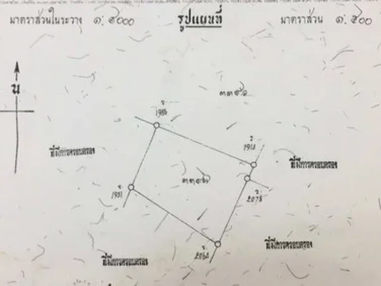 ขายที่ดินเปล่าซอยบัวขาว ซฮันนี่ กลางใจเมืองพัทยา 176 ตรว เจ้าของขายเอง