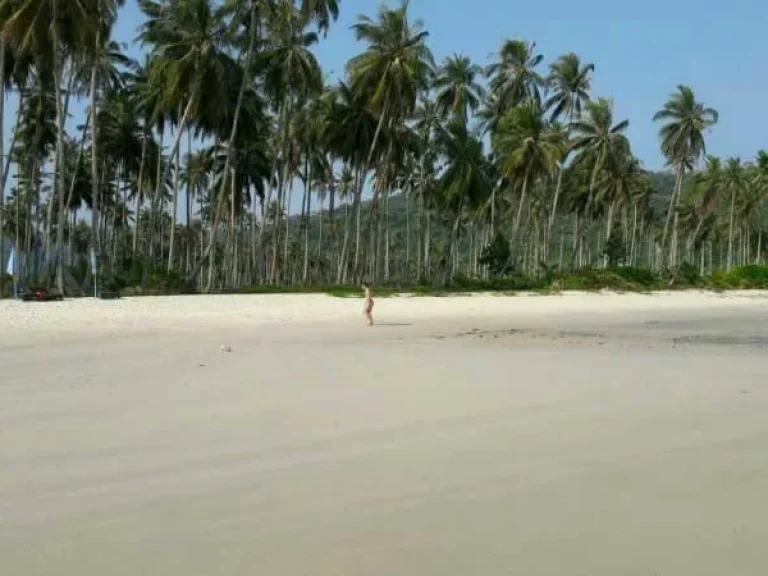 ขายที่ดินเปล่า ติดทะเล หาดบางเบ้า เกาะกูด