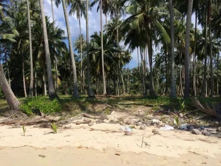 ขายที่ดินติดทะเล อ เกาะกูด หาดตะเภา