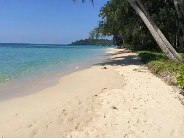 ขายที่ดินติดทะเล อ เกาะกูด หาดตะเภา