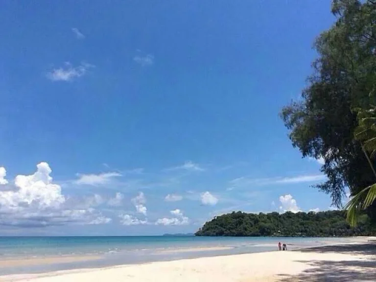 ขายที่ดินติดทะเล อ เกาะกูด หาดตะเภา