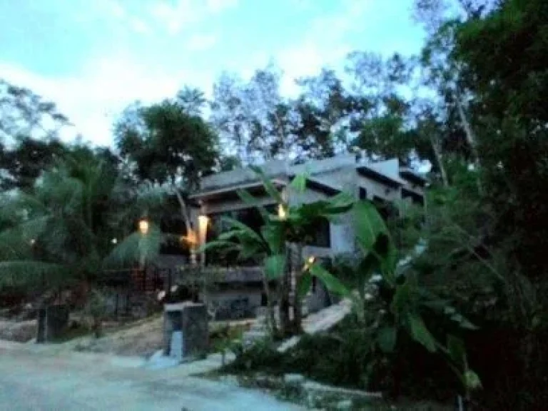 house for sale between NaiYang beach and NaiTorn beach PhuketThailandขายบ้าน 3หลังภูเก็ต