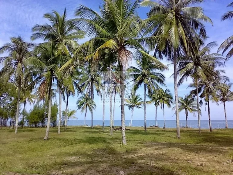 ที่สวยติดถนนติดชายหาด มีโฉนด