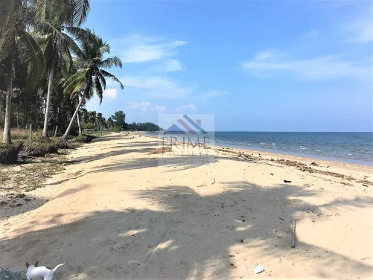 ที่สวยติดถนนติดชายหาด มีโฉนด