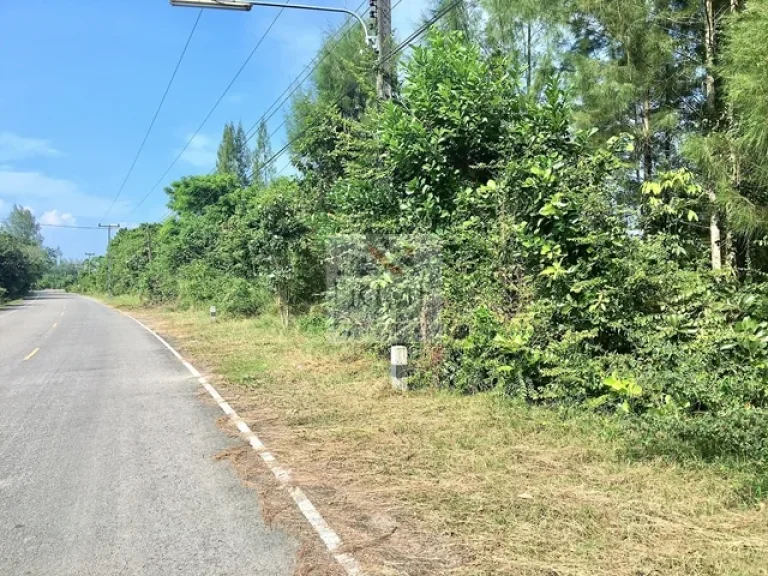 ที่สวยติดถนนติดชายหาด มีโฉนด