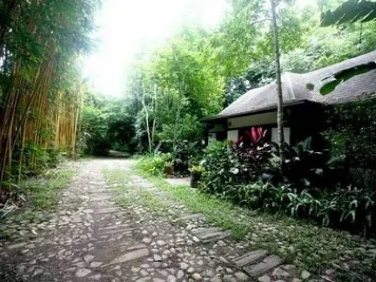 Sell Baanhuaynamrin Resort Suanphungขาย โรงแรม บ้าน ห้วย น้ำ ริน รีสอร์ท สวนผึ้ง ราชบุรี