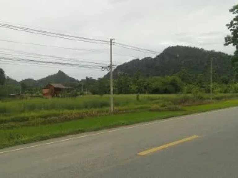 ที่ดินกลางดงทุ่งเสลี่ยม สุโขทัย ทำเลสวยสุดสุด บรรยากาศขุนเขาและธรรมชาติ 2ไร่1งาน