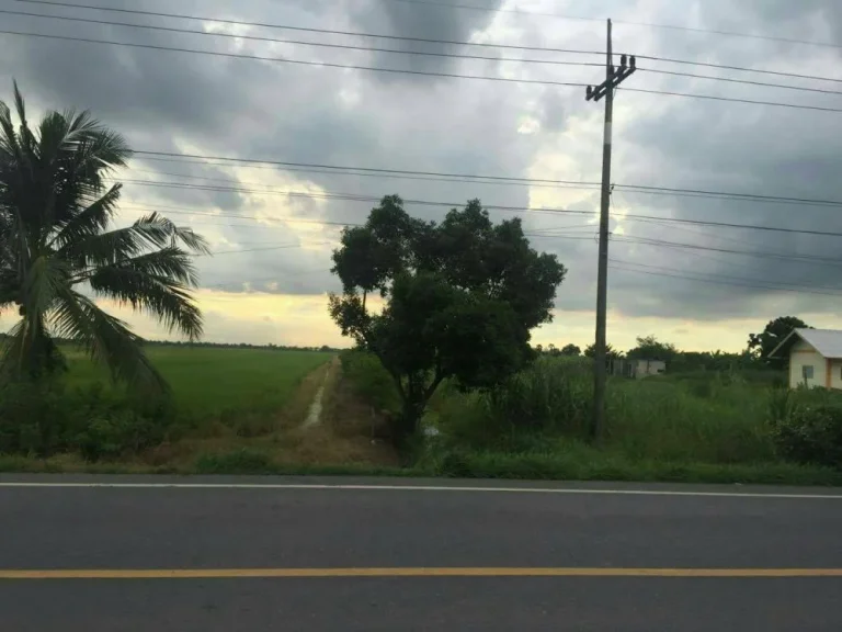 ขายที่ดิน ติดถนน อำเภอลำลูกกา จังหวัดปทุมธานี