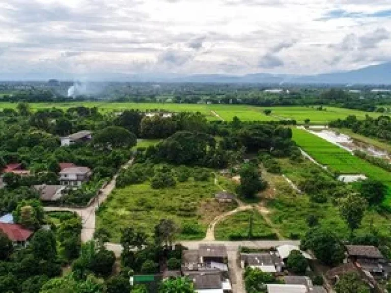 ขายที่ดิน เหมาะสำหรับสร้างบ้าน เก็งกำไร ถูกมาก สันป่าสัก หนองแฝก สารภี เชียงใหม่ 168 ตรว