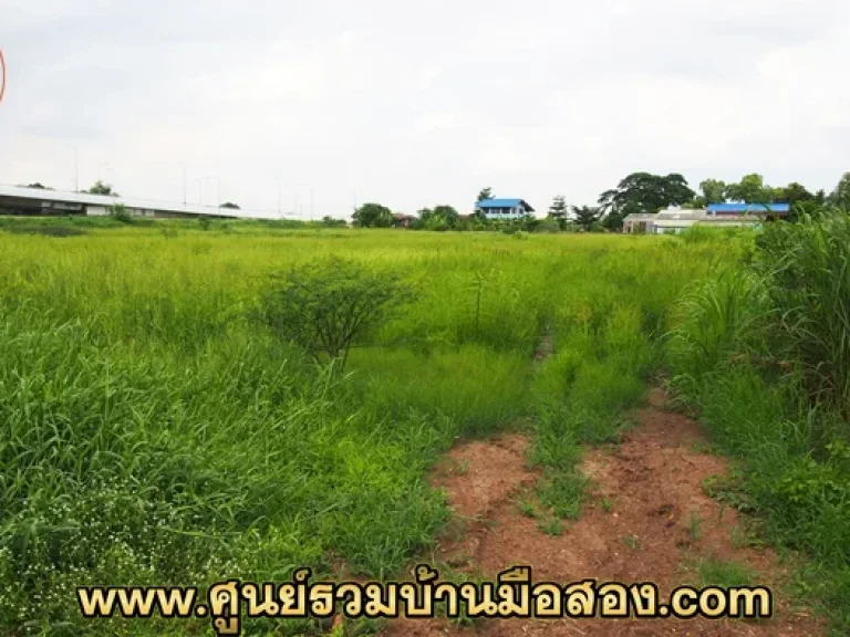 ที่ดินถมแล้ว 4 ไร่ 1 งาน 47 ตรว ตคลองสวนพลู จพระนครศรีอยุธยา ถนนตัดใหม่องค์การบริหารส่วนจังหวัดพระนครศรีอยุธยา