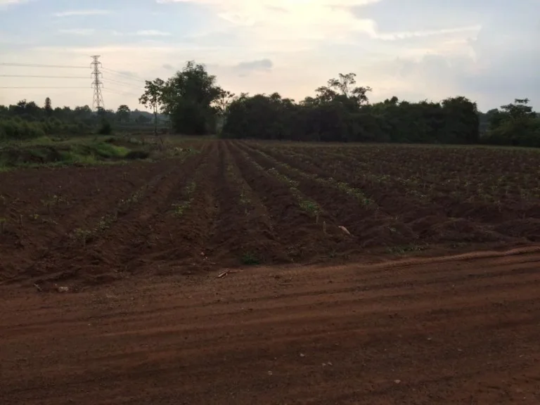 plots of land for rent located at Muang Khao Chakwang Sa Kaeo agricultural trade has started 1000 per month Bow 093-8987190 ID Line surawuth2