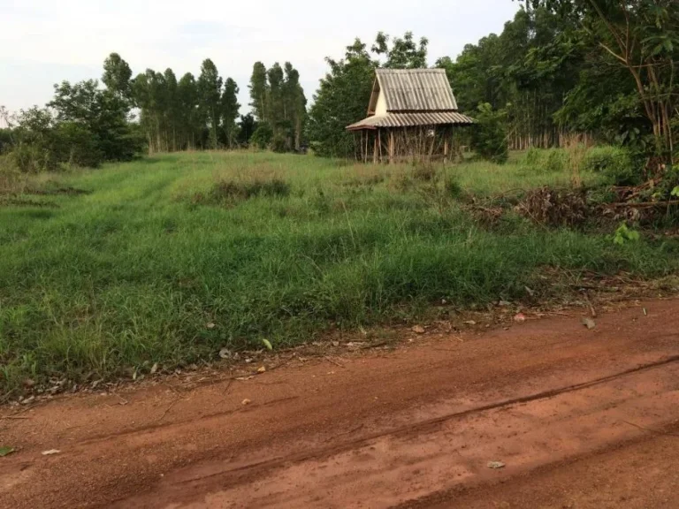 plots of land for rent located at Muang Khao Chakwang Sa Kaeo agricultural trade has started 1000 per month Bow 093-8987190 ID Line surawuth2