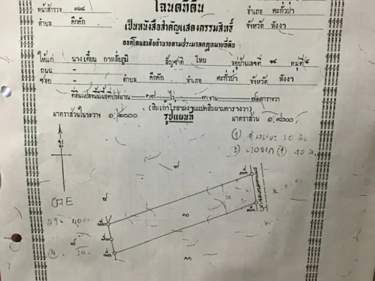 ขายด่วนที่ดินเปล่า 19 ไร่ 3 งาน 83 ตารางวา