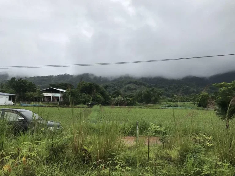 ที่ดินเชียงราย ที่ดินเมืองเชียงราย ที่ดินท่าสุด วัดสันต้นกอก