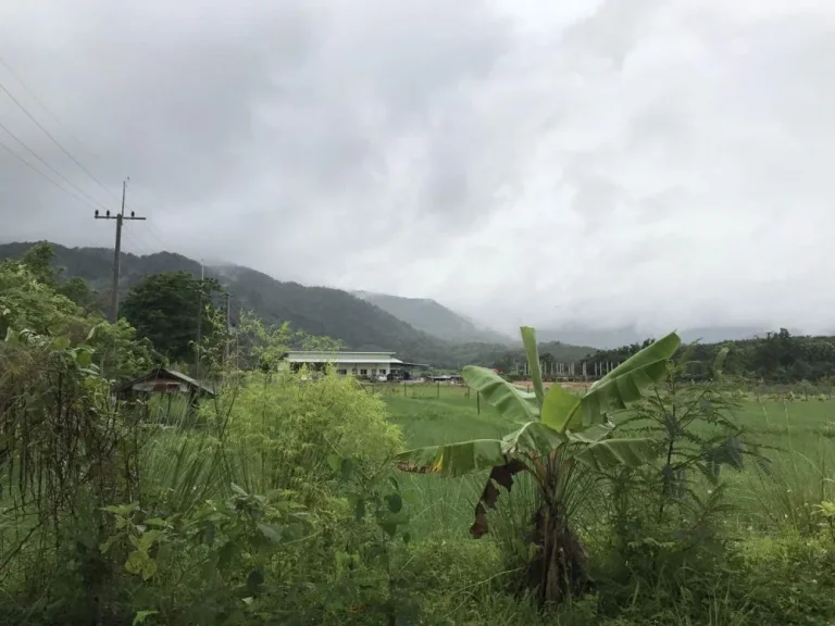 ที่ดินเชียงราย ที่ดินเมืองเชียงราย ที่ดินท่าสุด วัดสันต้นกอก