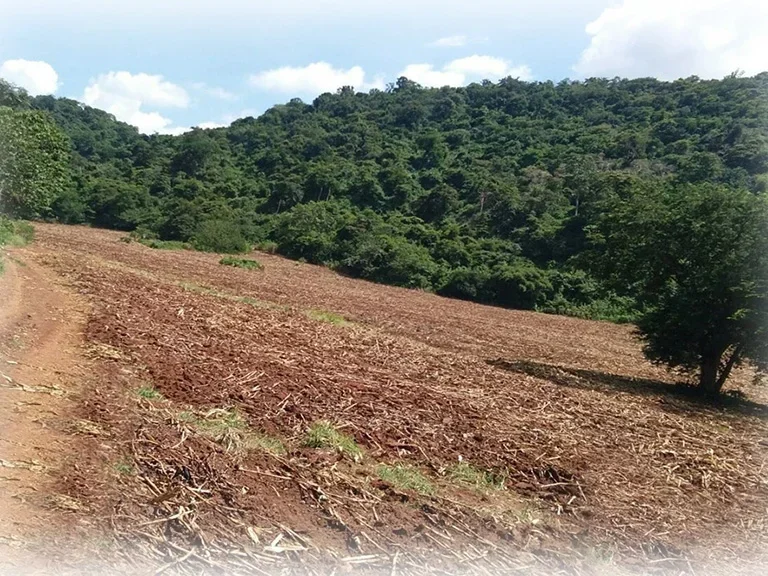 ที่ดิน 2500 ไร่ สำหรับสร้างโรงปูน โรงโม่ เป็นภูเขาหินปูน