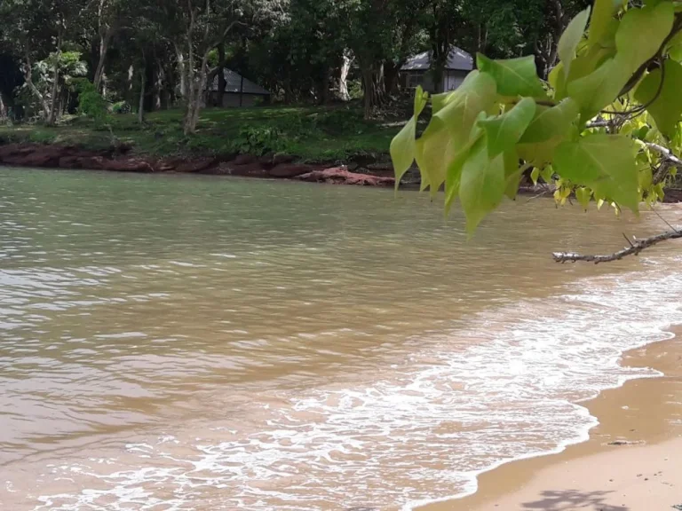 ขายที่ดินติดทะเลราคาถูก มีชายหาดส่วนตัว 485 ไร่ มีโฉนด