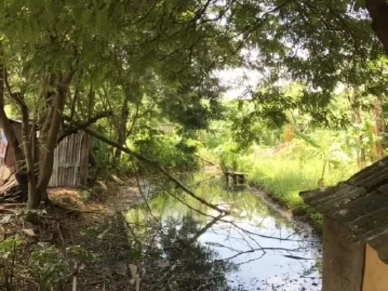 ขายที่ดินพร้อมสิ่งปลูกสร้าง ทำเลทอง ติดรถไฟฟ้าบางอ้อ สายสีน้ำเงิน เนื้อที่ 1 ไร่ 41 ตรว