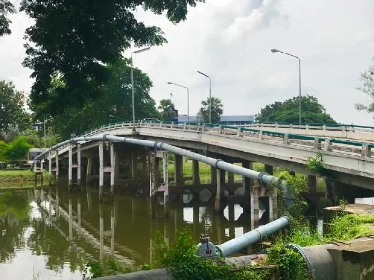 ขาย ที่ดิน 2 ไร่ รูปสี่เหลี่ยม ใกล้ วิทยาลัย เทคนิคธัญบุรี ราคาถูก