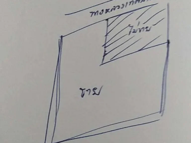 ขายที่ดินบางเกตุ