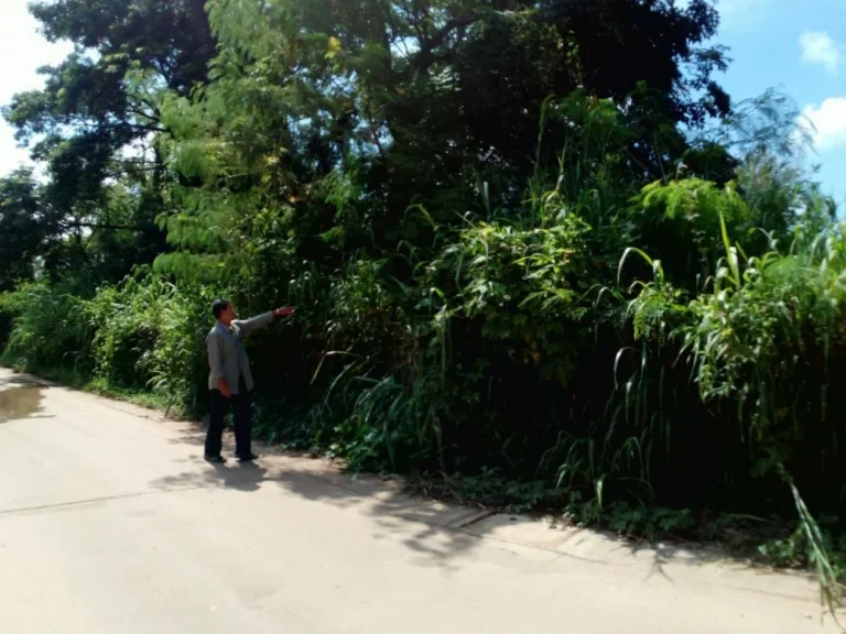 ขายที่ดิน จำนวน 1 ไร่ ตรงข้ามวัดบ้านดอนอีไข ซอยข้างบิ๊กซี อุดรธานี