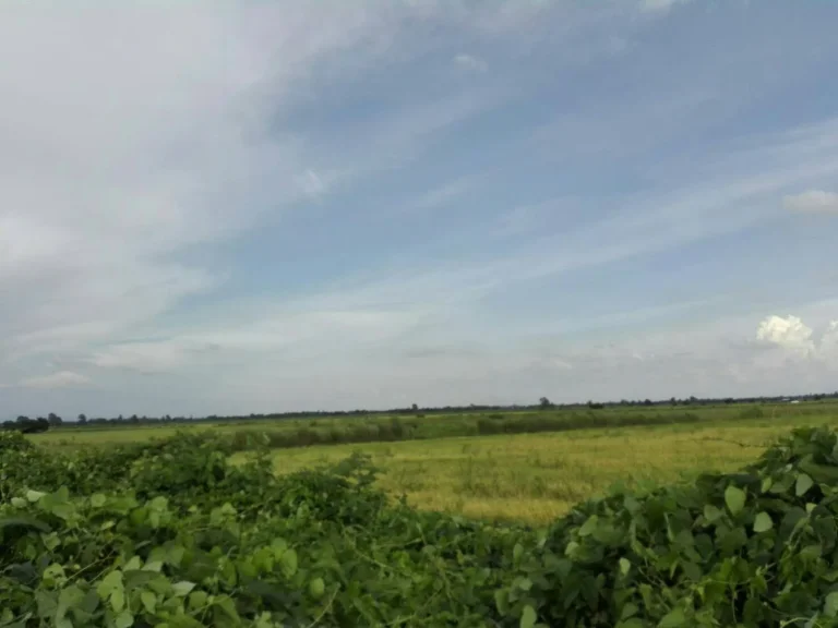 ขายที่ดินใกล้ทางด่วนพิเศษ สายใหม่ จุดขึ้นลงทางด่วนพิเศษ