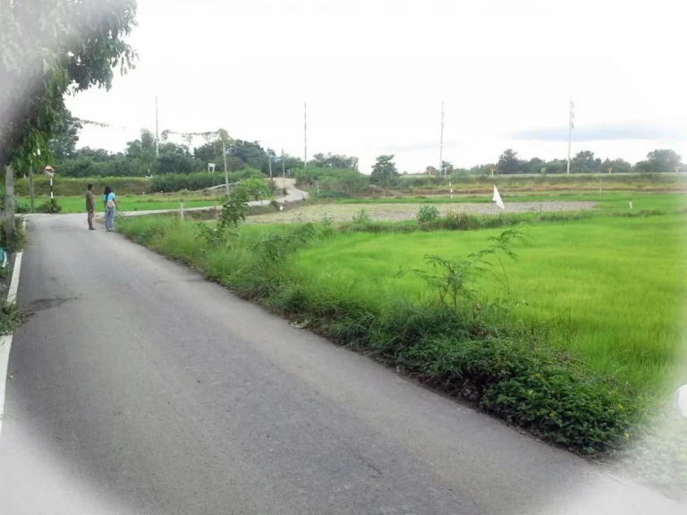 ที่ดิน 2 ไร่ ติดถนน ห้วยบง-เฉลิมพระเกียรติ สระบุรี