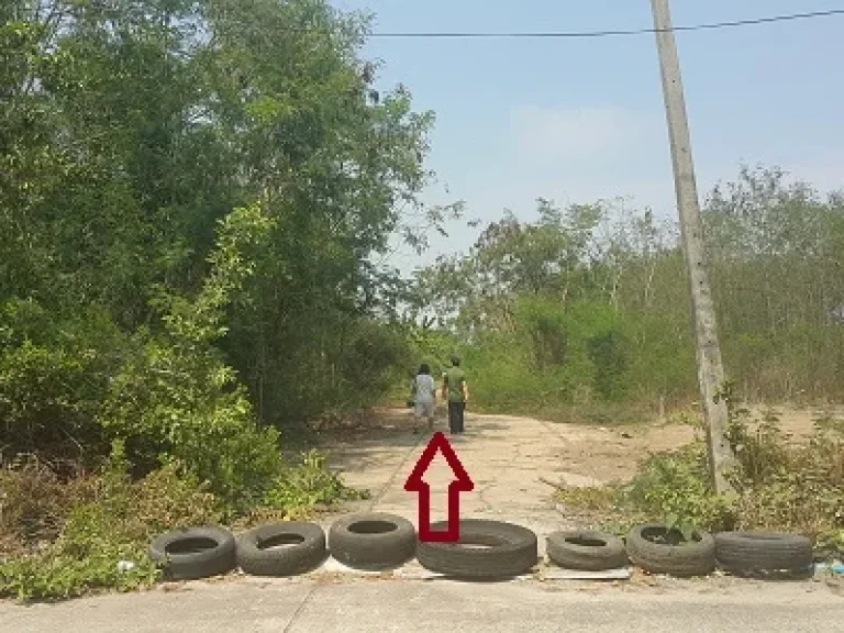 ขายที่ดิน มีนบุรี ถนนไมตรีจิต ตรงข้ามโรงเรียนวัดศรีสุข