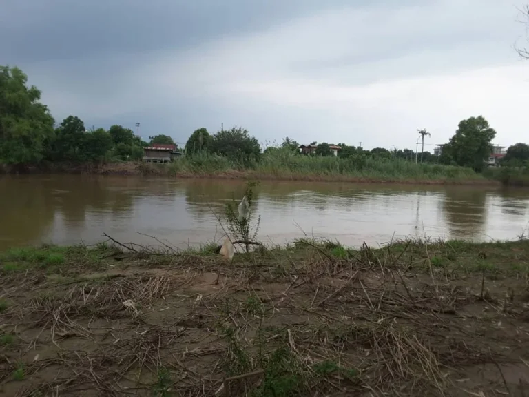 ขายด่วน ที่ดินริมแม่น้ำเจ้าพระยา 2ไร่ 84 ล้าน โฉนดพร้อมโอน ที่ติดถนนดำ