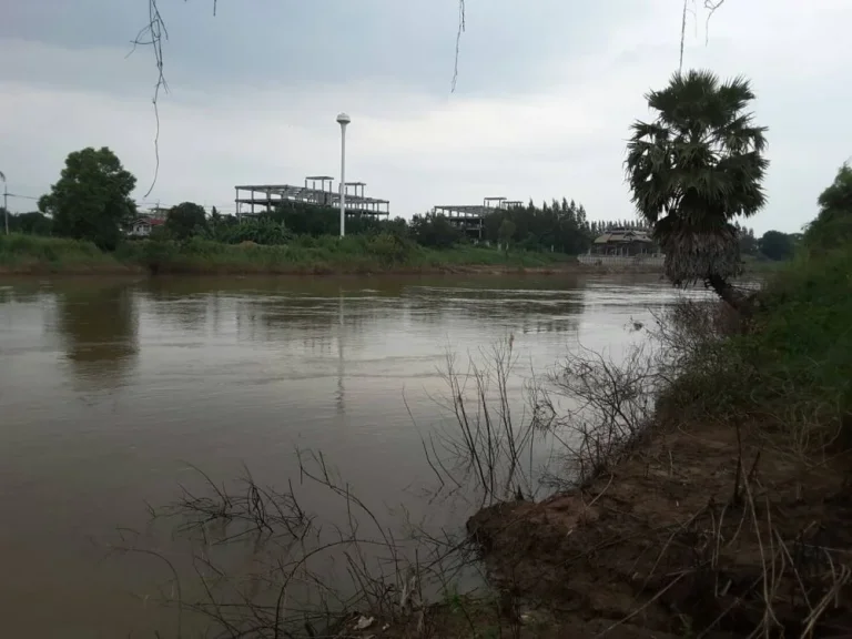 ขายด่วน ที่ดินริมแม่น้ำเจ้าพระยา 2ไร่ 84 ล้าน โฉนดพร้อมโอน ที่ติดถนนดำ