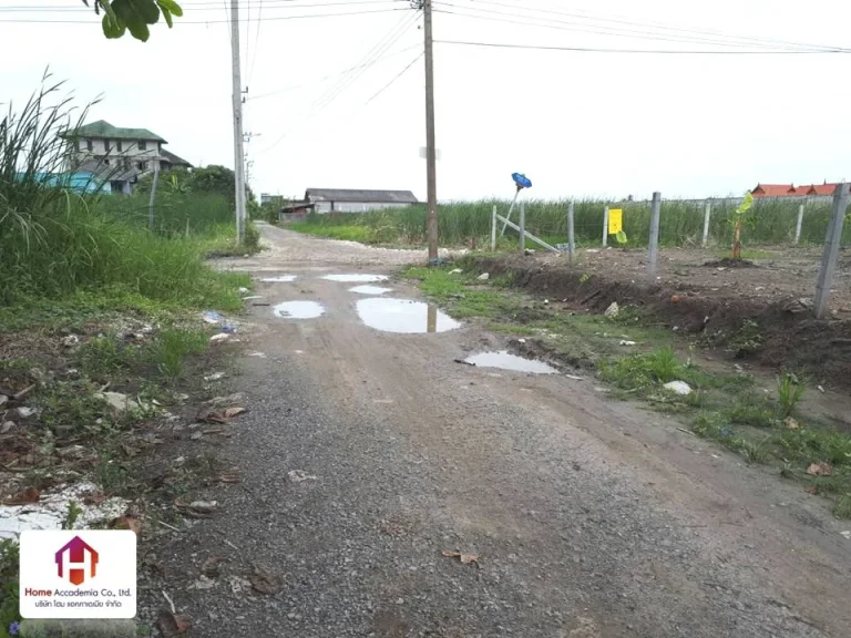 ขายที่ดินเปล่า ใกล้ถนนตัดใหม่ พัฒนาการ-อ่อนนุช