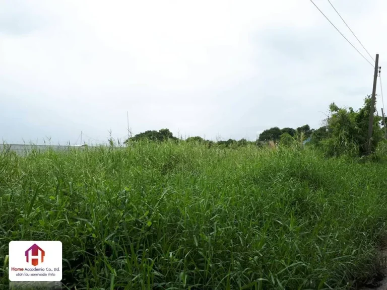 ขายที่ดินเปล่า ใกล้ถนนตัดใหม่ พัฒนาการ-อ่อนนุช