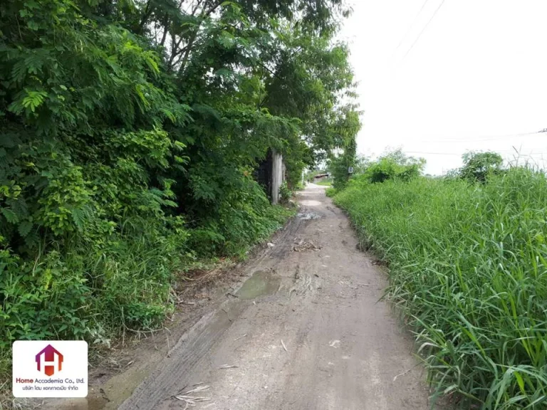 ขายที่ดินเปล่า ใกล้ถนนตัดใหม่ พัฒนาการ-อ่อนนุช