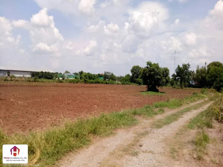 ขายที่ดิน ตำบลประดู่งาม อำเภอศรีเทพ จังหวัดเพชรบูรณ์