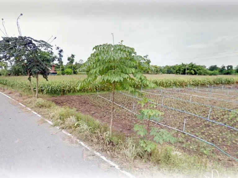 ขายด่วน ที่ดินแปลงสวย เนื้อที่ 4 ไร่ ติดถนนดำ อเฉลิมพระเกียรติ