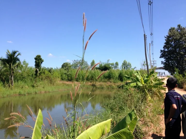 ที่ใกล้โตโยต้าน้ำพอง ถนนมิตรภาพเข้าซอย 500 เมตร