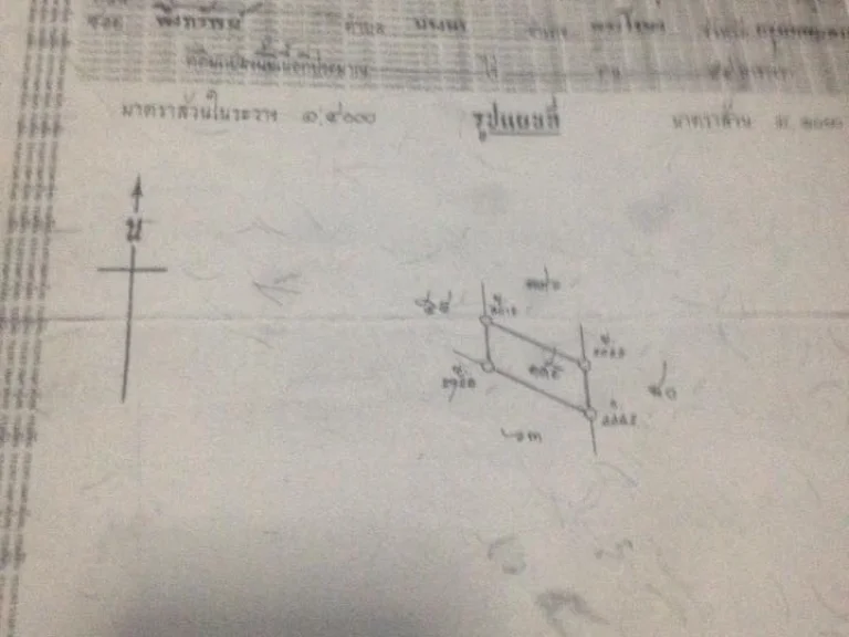 ขายที่ดิน 44 ตรว พระสมุทรเจดีย์ ในคลองบางปลากด ติดถนน ใกล้แหล่งชุมชน