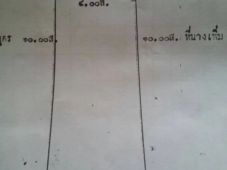 ขายที่นา 43 ไร่ ติดเขาปลาร้า ใกล้หุบป่าตาด ราคาถูก ต่อรองได้