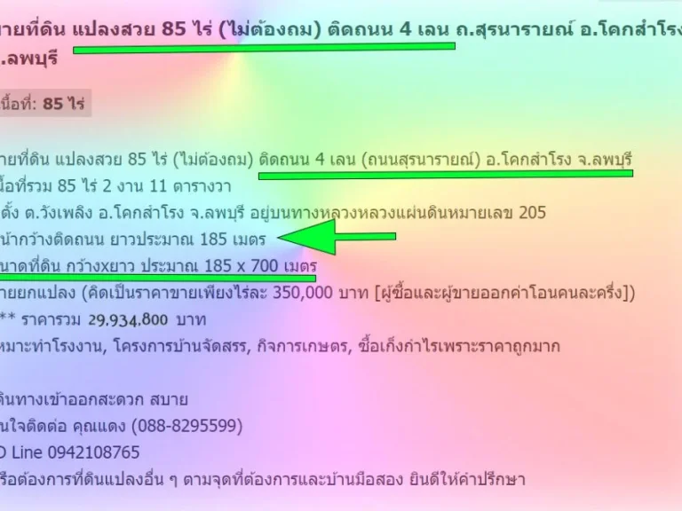 ขายที่ดิน แปลงสวย 85 ไร่ ไม่ต้องถม ติดถนน 4 เลน ถนนสุรนารายณ์ อโคกสำโรง จลพบุรี