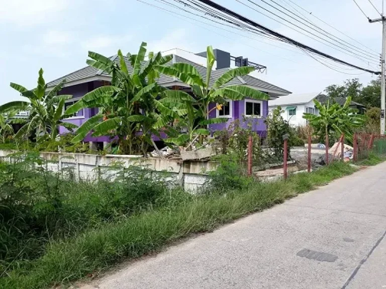 ขายที่ดิน 60 ตรว คลองสาม 65 ฟรีค่าโอน ใกล้วัดพระธรรมกาย