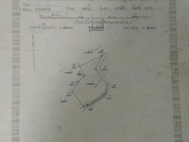 ที่ดินเปล่า โฉนด 2 แปลงรวม 50 ไร่ อยู่ซอยจุลภักดี ตประณีต อเขาสมิง จตราด