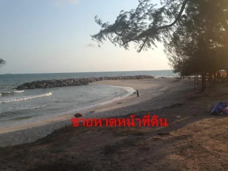 ขายที่ดิน 183 ตรว ติดทะเล หาดแสงจันทร์ อำเภอเมือง จังหวัดระยอง Land For sale - Rayong city beachfront